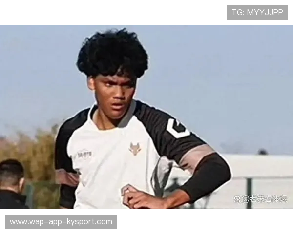 丹塞尔华裔少年试训中甲陕西联合，丹赛尔电影百度百科